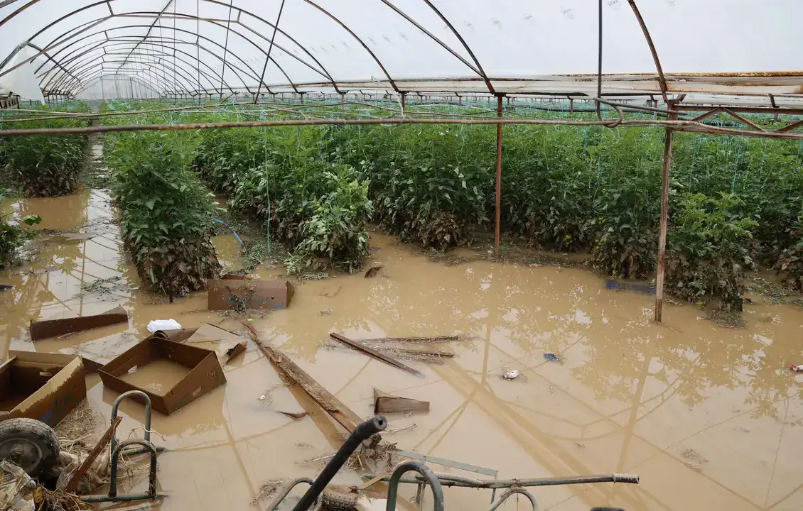 Antalya'da Tarımın Kalbine 300 Milyon TL'lik Darbe! 8